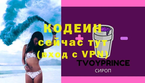 бошки Бородино