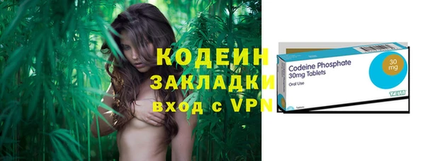 бошки Бородино