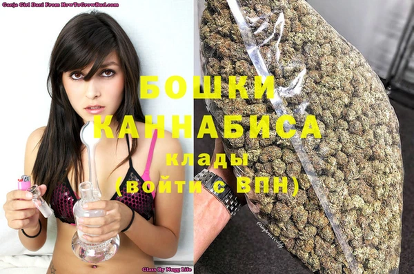 бошки Бородино