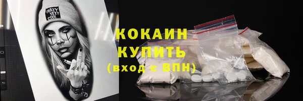бошки Бородино