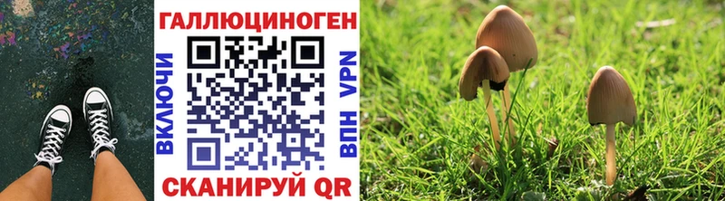 Галлюциногенные грибы ЛСД  Купить где  Майкоп 